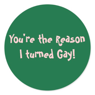 You're the Reason I turned Gay! Sticker by mesjoy01