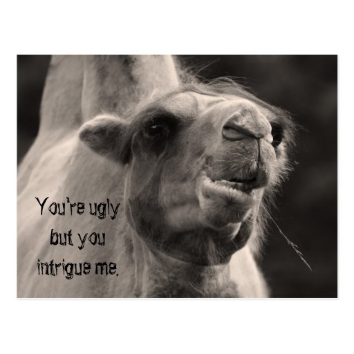 you-re-ugly-postcard-zazzle