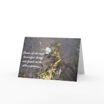 You'reBeautiful cards