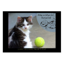 Yourself Life Lessons From a Cat ACEO Art Cards business cards