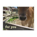 Youth Group Invitation postcard