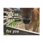 Youth Group Invitation postcards