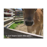 Youth Group Invitation postcards