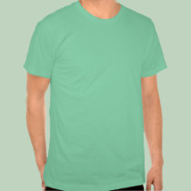 You've Been Stung! New Orleans Hornets NBA Playoff t-shirts