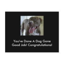 youve_done_a_dog_gone_good_job_postcard-p239288480720895138td81_210.jpg