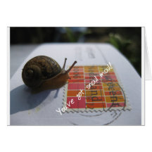 you've got snail mail card