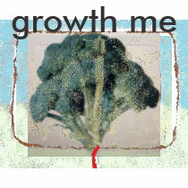 ytrs9765, rt5678, ytrs9765, growth me t-shirts