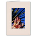 "Yucca #1" cards by Rmarvil "Yucca #1" cards