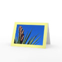 "Yucca #1" cards by Rmarvil "Yucca #1" cards