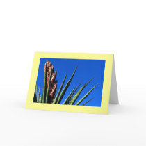 "Yucca #1" cards