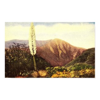Yucca Blossom print