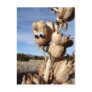 yucca buddy post card