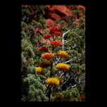 Yucca Floral Print posters