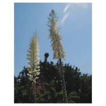 yucca flyers by JCCollective yucca flyers