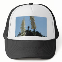 yucca hats