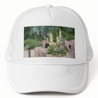 Yucca Hat by codfishlady