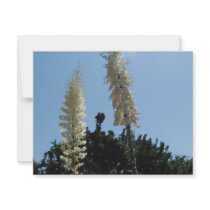 yucca invitations by JCCollective yucca invitations