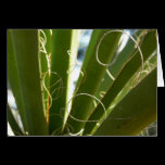 Yucca Leaves Abstract Nature Card