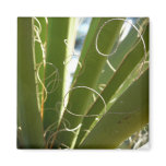 Yucca Leaves Magnet
