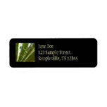 Yucca Leaves Return Address Label