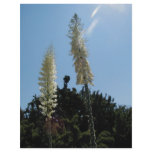 yucca custom letterhead