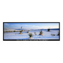 Yucca Panorama posters