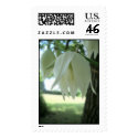 Yucca postage by kokobaby Yucca postage