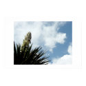 Yucca posters by rapscallion Yucca posters