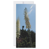 yucca customized rack card