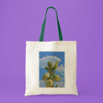 Yucca Rising bags