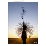 Yucca Silhouette - West Texas Desert Greeting Cards