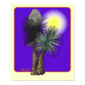 Yucca torreyi poster posters
