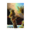 Yuccas, Southern Nevada posters by daysrays Yuccas, Southern Nevada posters