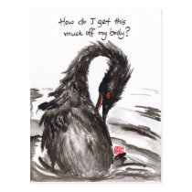 Yucky Muck Postcard postcards