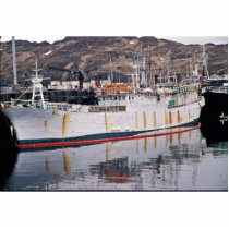 Yugfa, Adak Pirate ship with rats photo sculptures