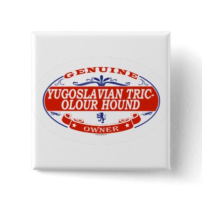 YUGOSLAVIAN TRICOLOUR HOUND_ Button by GenuineDogOwner