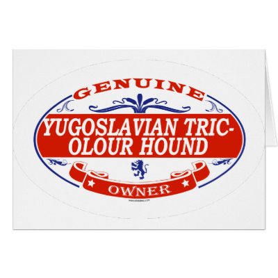 YUGOSLAVIAN TRICOLOUR HOUND_ Card by GenuineDogOwner