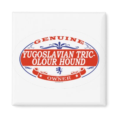YUGOSLAVIAN TRICOLOUR HOUND_ Magnet by GenuineDogOwner