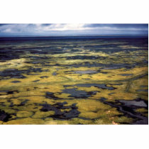 Yukon Delta - Aerial View photo sculptures