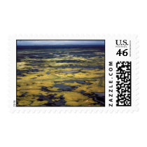 Yukon Delta - Aerial View postage