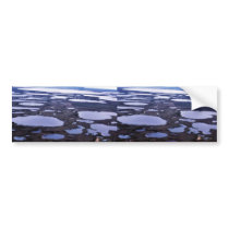 Yukon Delta bumper stickers by animalpark Yukon Delta bumper stickers