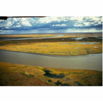 Yukon Delta Fall Tundra photo sculptures
