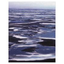 Yukon Delta flyers