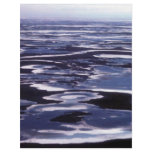 Yukon Delta flyers