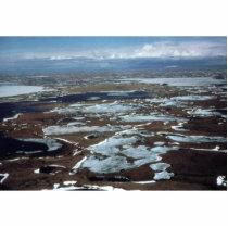 Yukon Delta photo sculptures