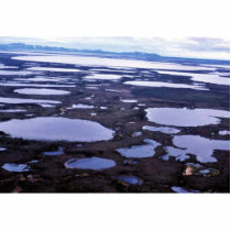 Yukon Delta photo sculptures