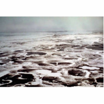 Yukon Delta photo sculptures