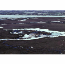 Yukon Delta photo sculptures