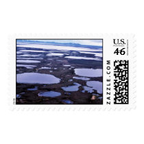 Yukon Delta postage