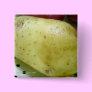 Yukon Gold potato Buttons